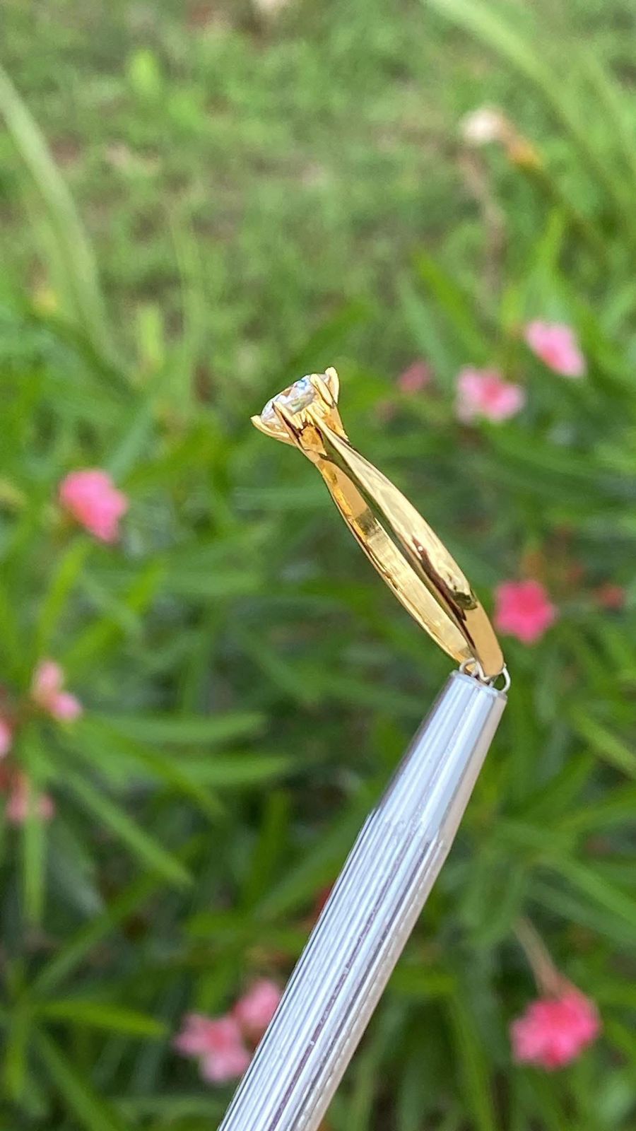 Anillo Eterna Pureza