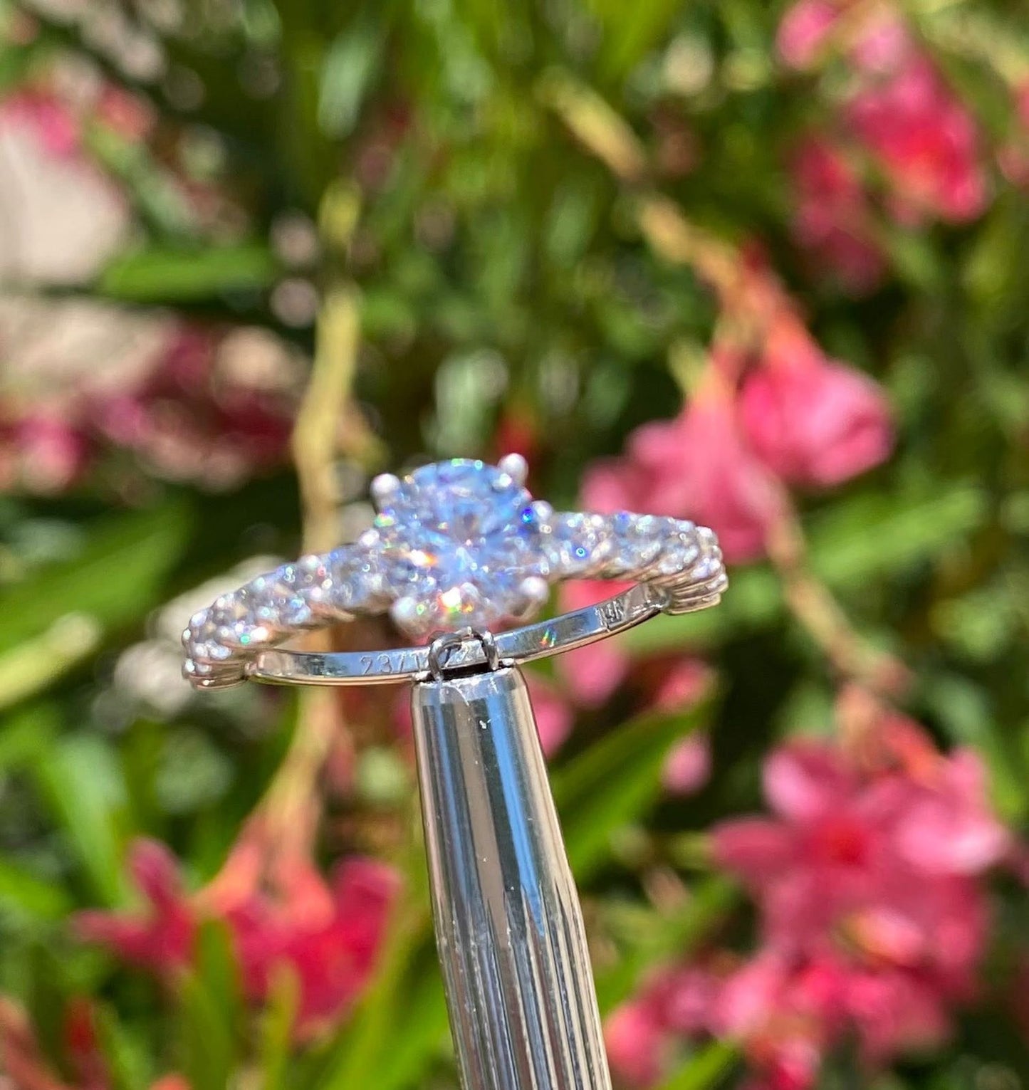 Anillo Promesa de Luz