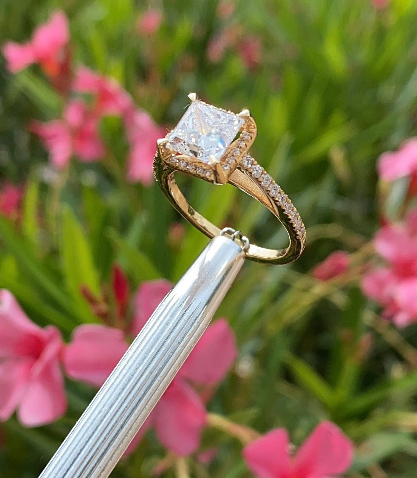 Anillo "Aurora Grace"