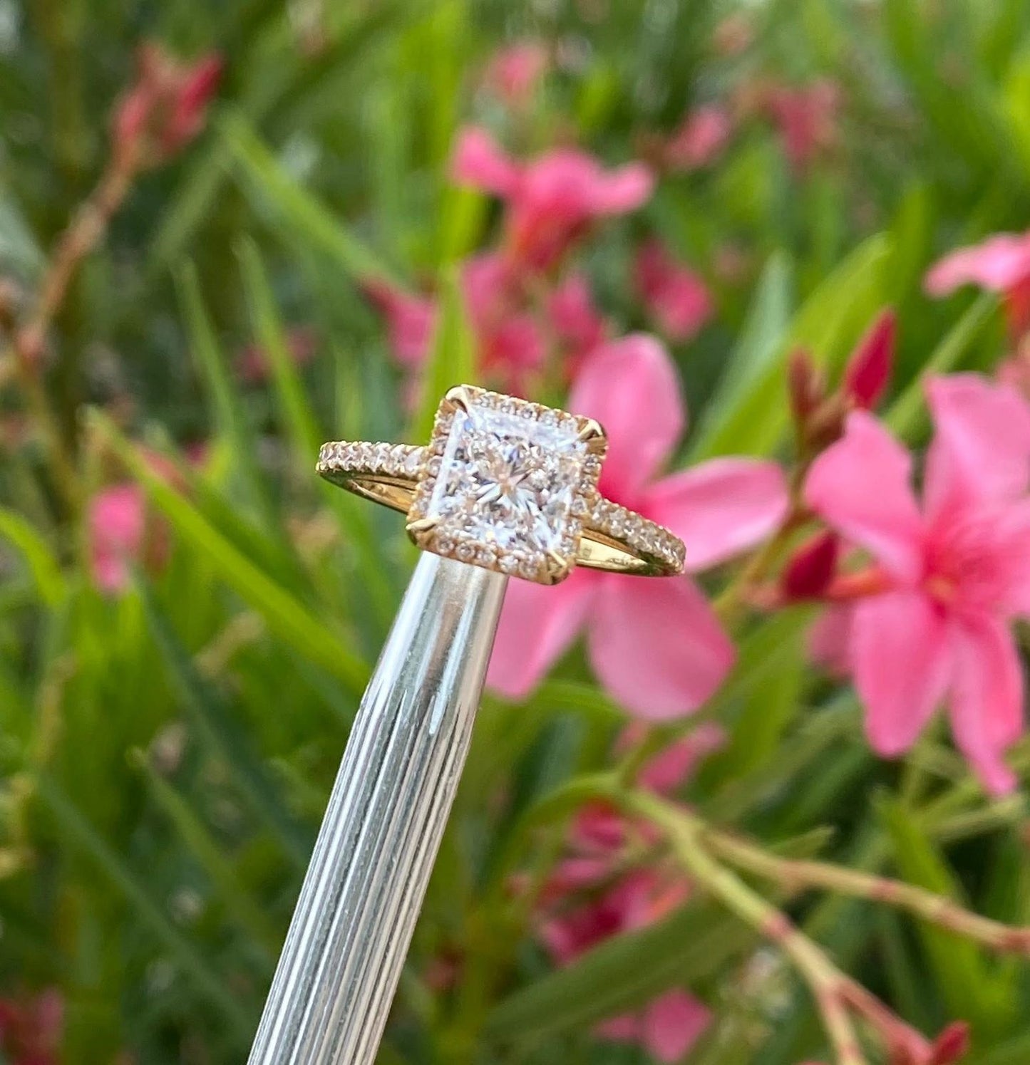 Anillo "Aurora Grace"