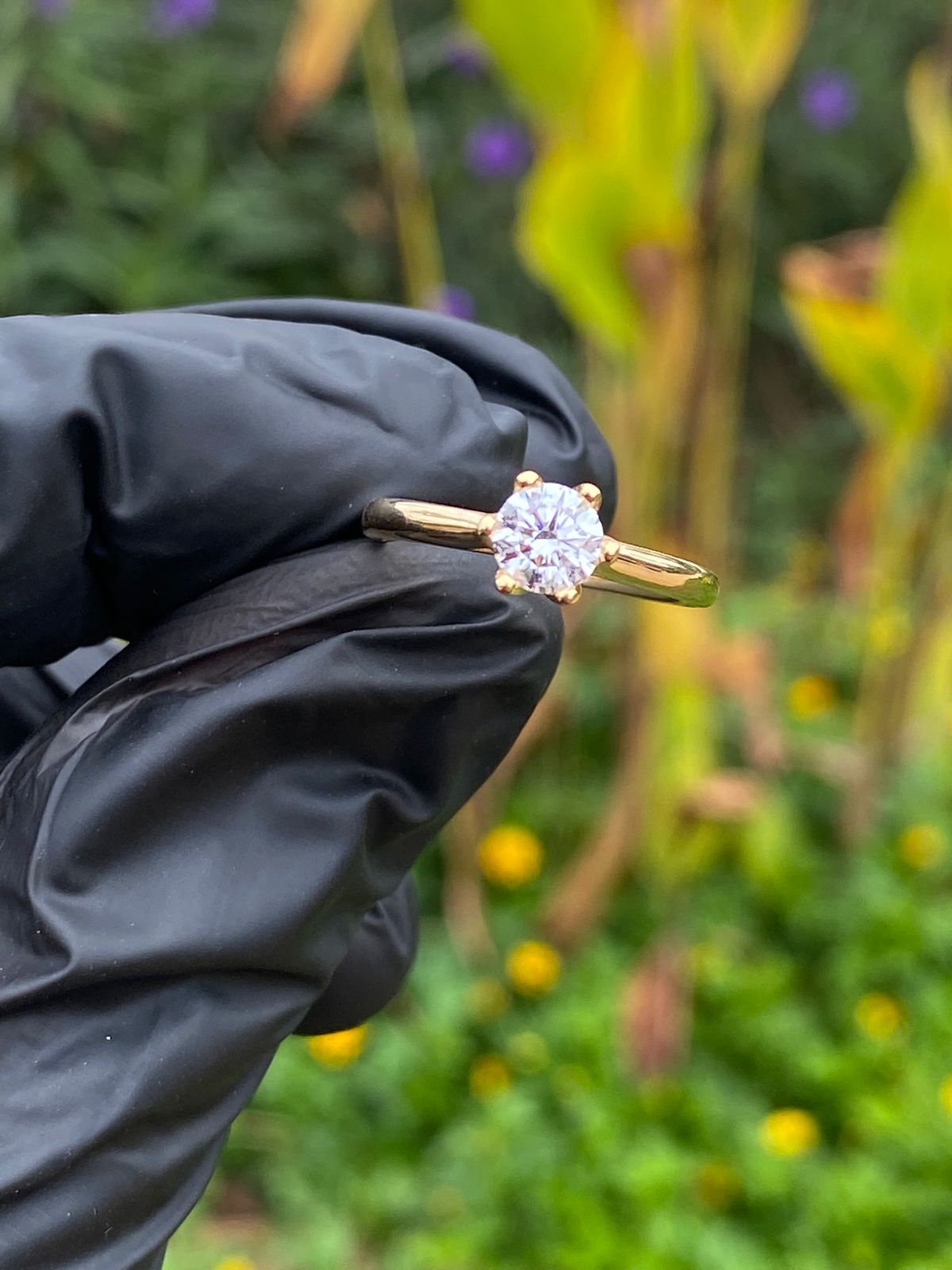 Anillo Esencia Dorada