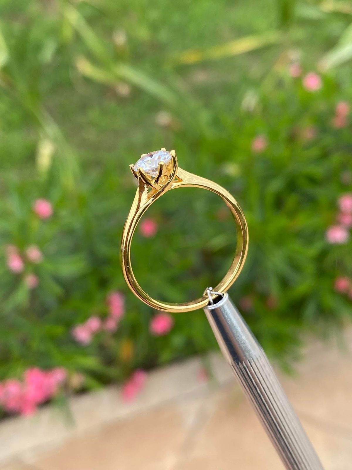 Anillo Eterna Pureza