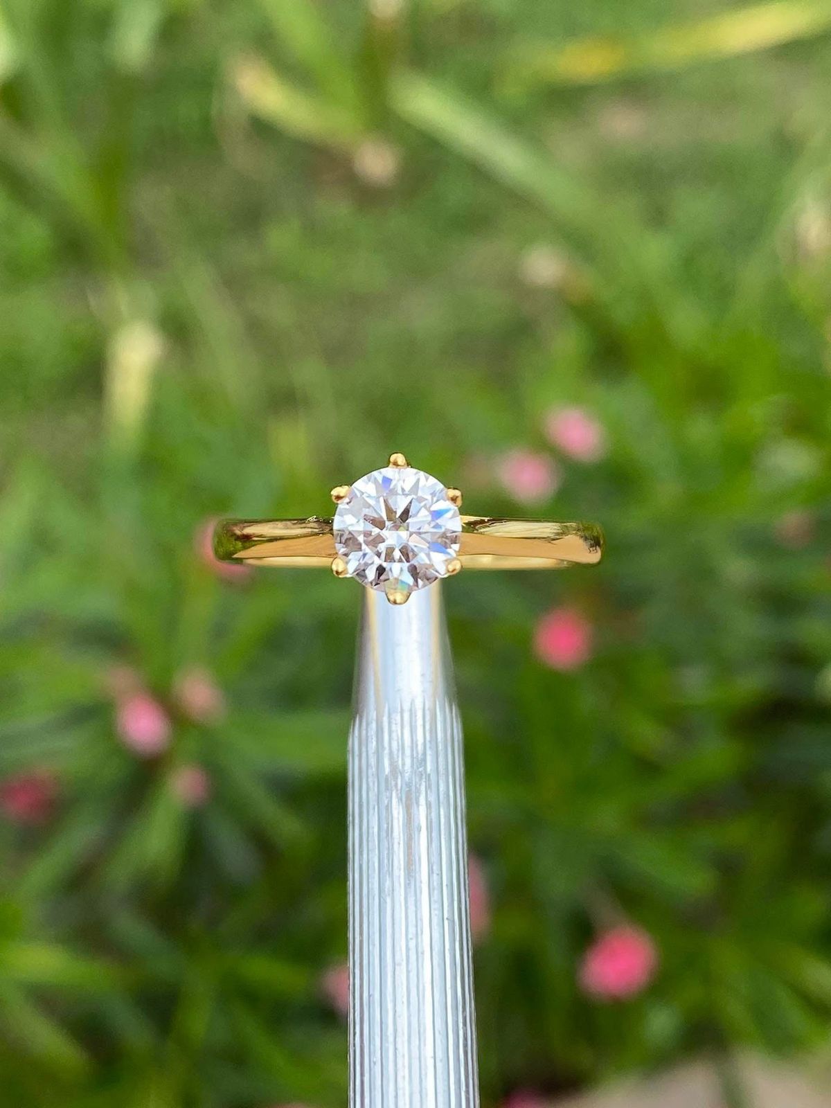Anillo Eterna Pureza