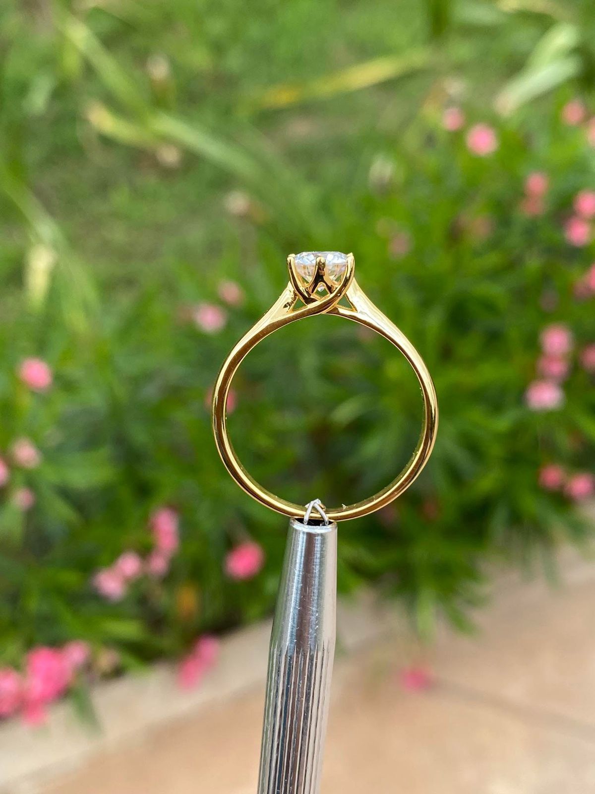 Anillo Eterna Pureza