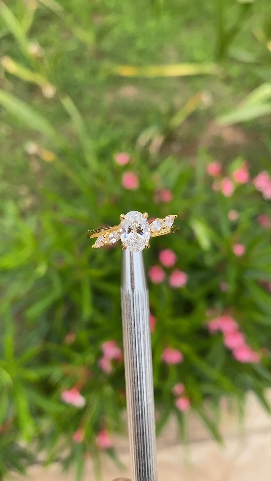 Anillo “Eterno Resplandor”