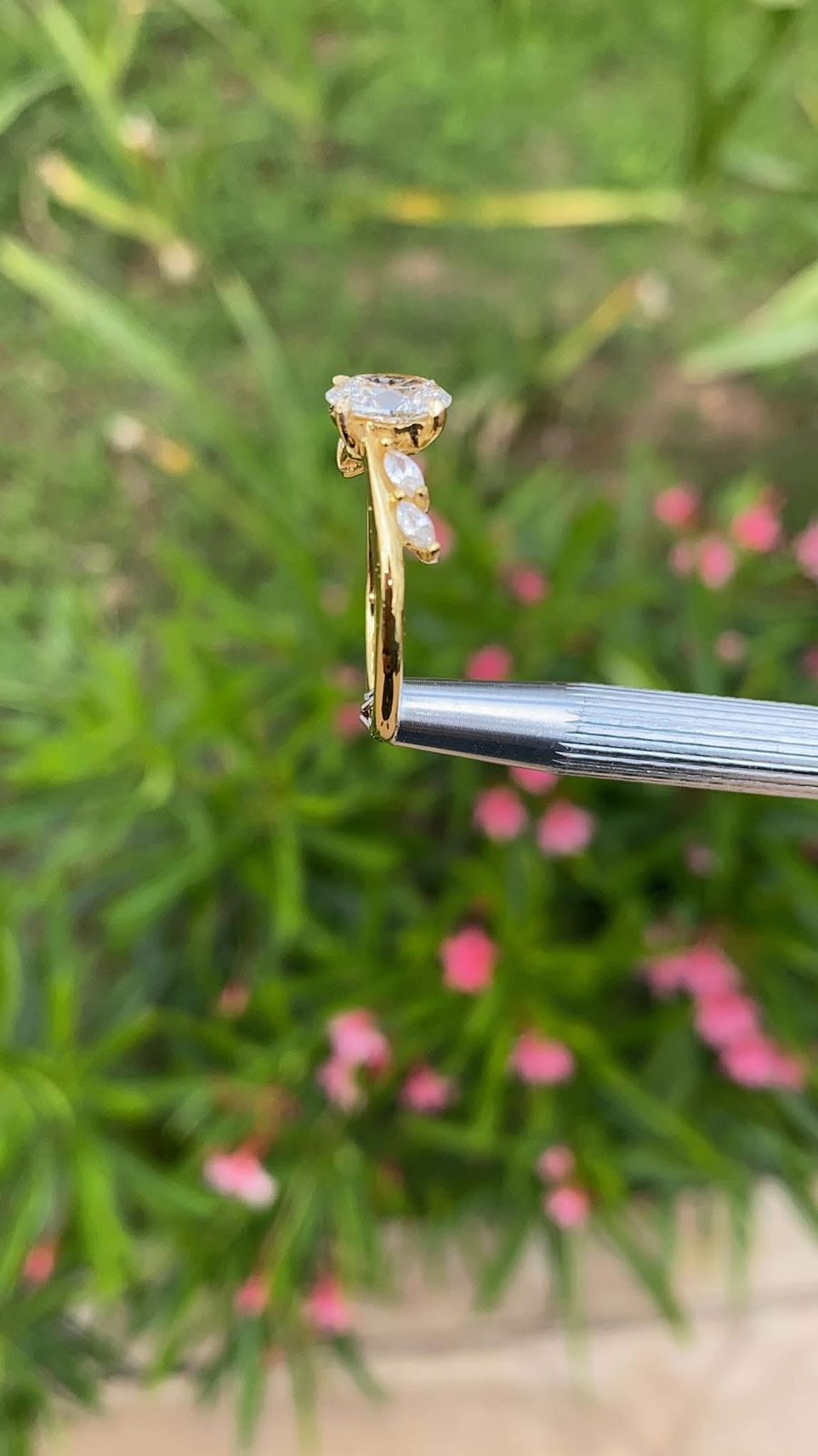 Anillo “Eterno Resplandor”