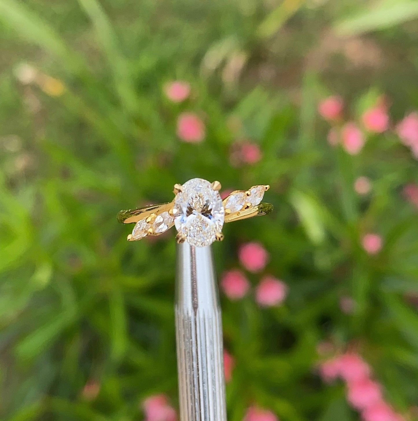 Anillo “Eterno Resplandor”