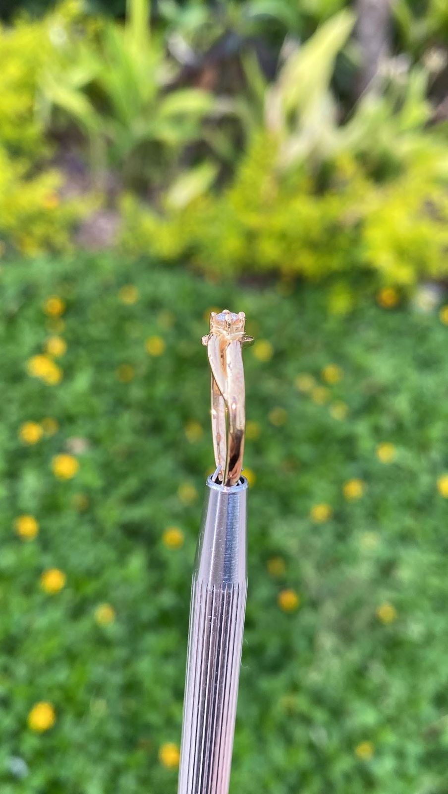 Anillo "Lazo de Amor"