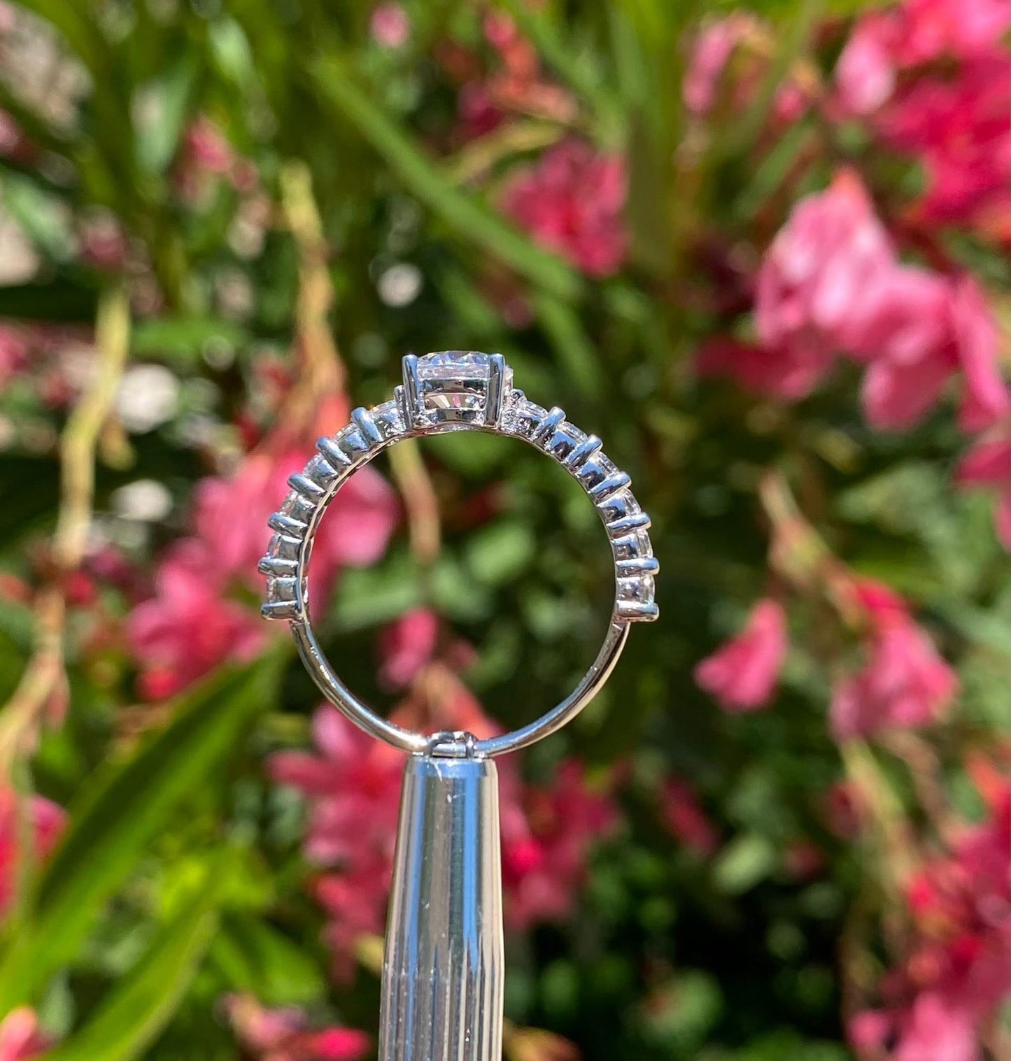 Anillo Promesa de Luz