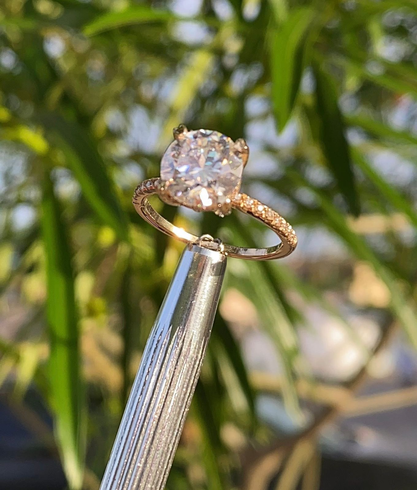 Anillo "Evelyn Light"