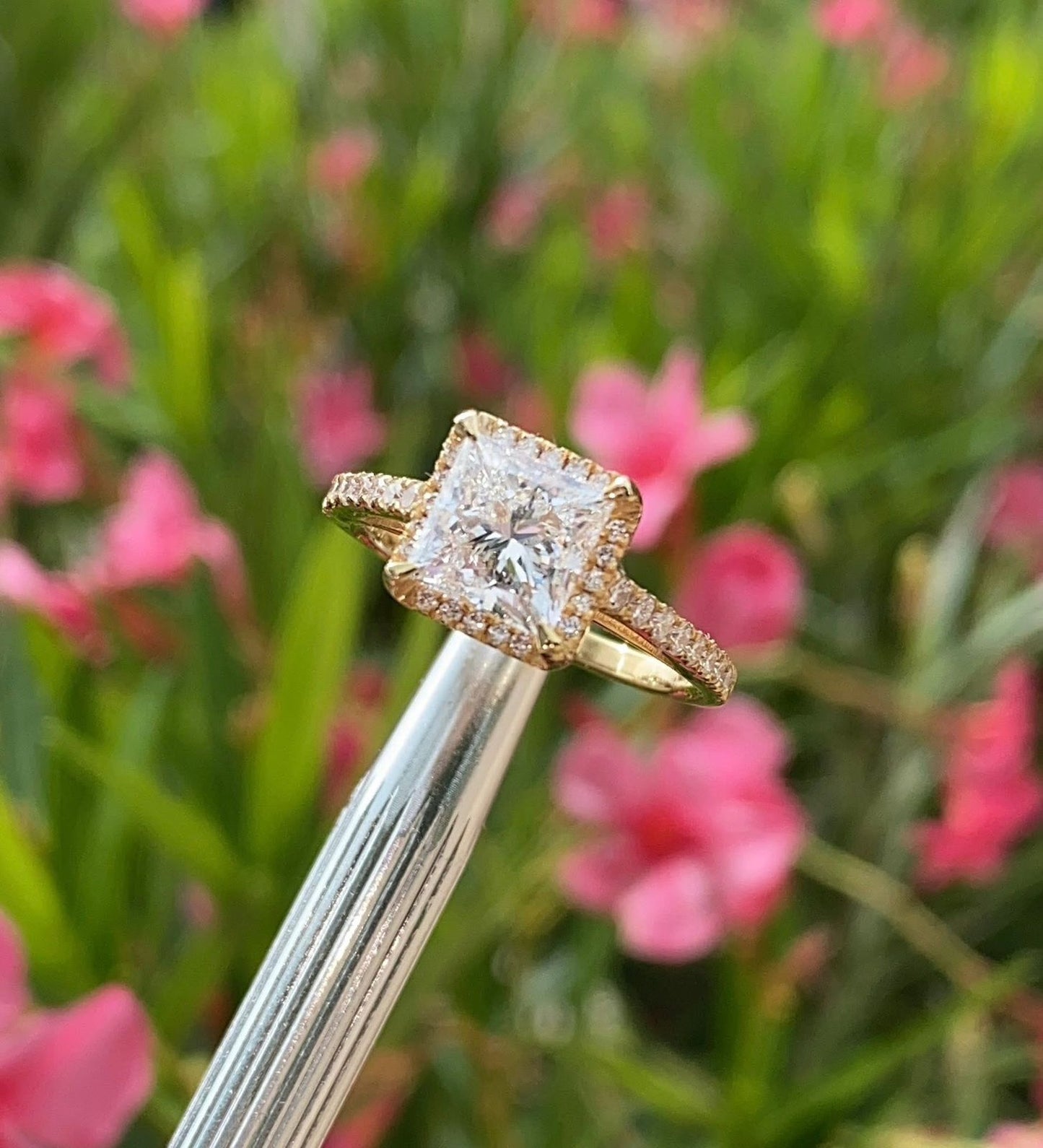 Anillo "Aurora Grace"