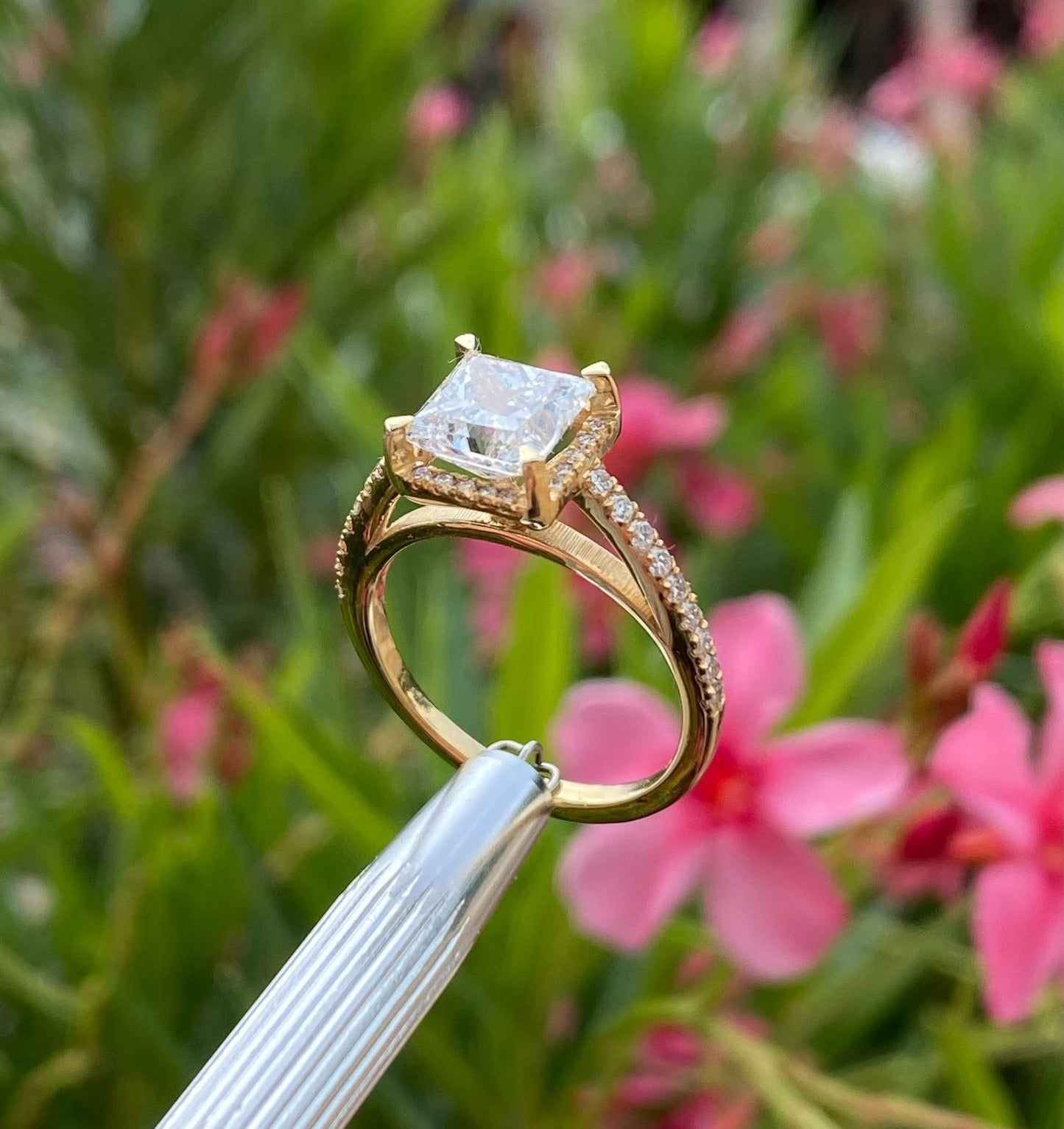 Anillo "Aurora Grace"