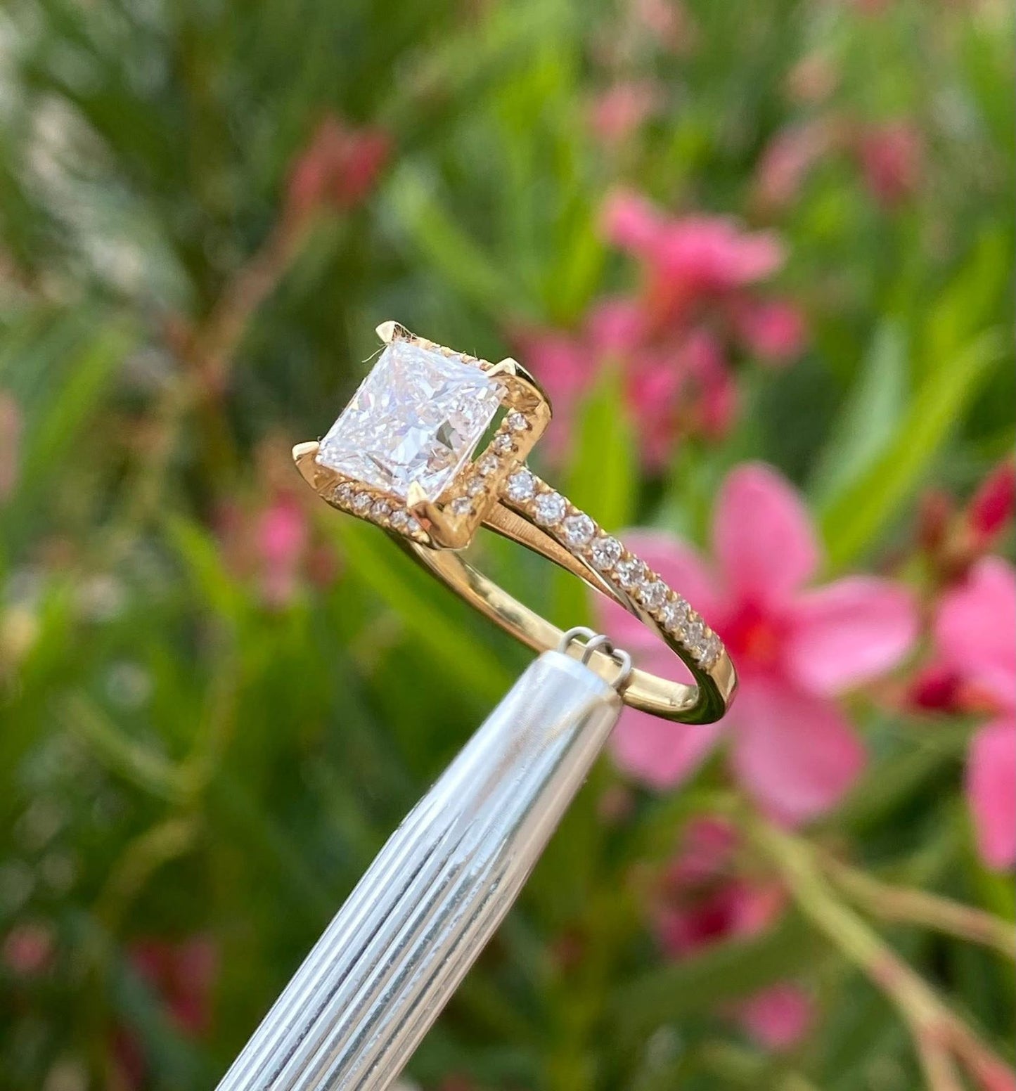 Anillo "Aurora Grace"